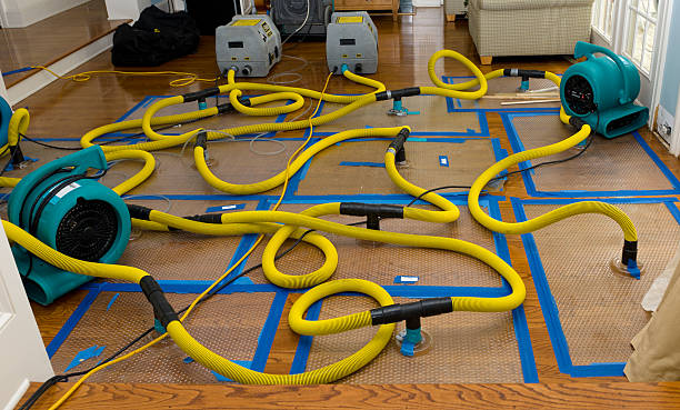 Professional Basement Flood Cleanup technician working in Taft, TX
